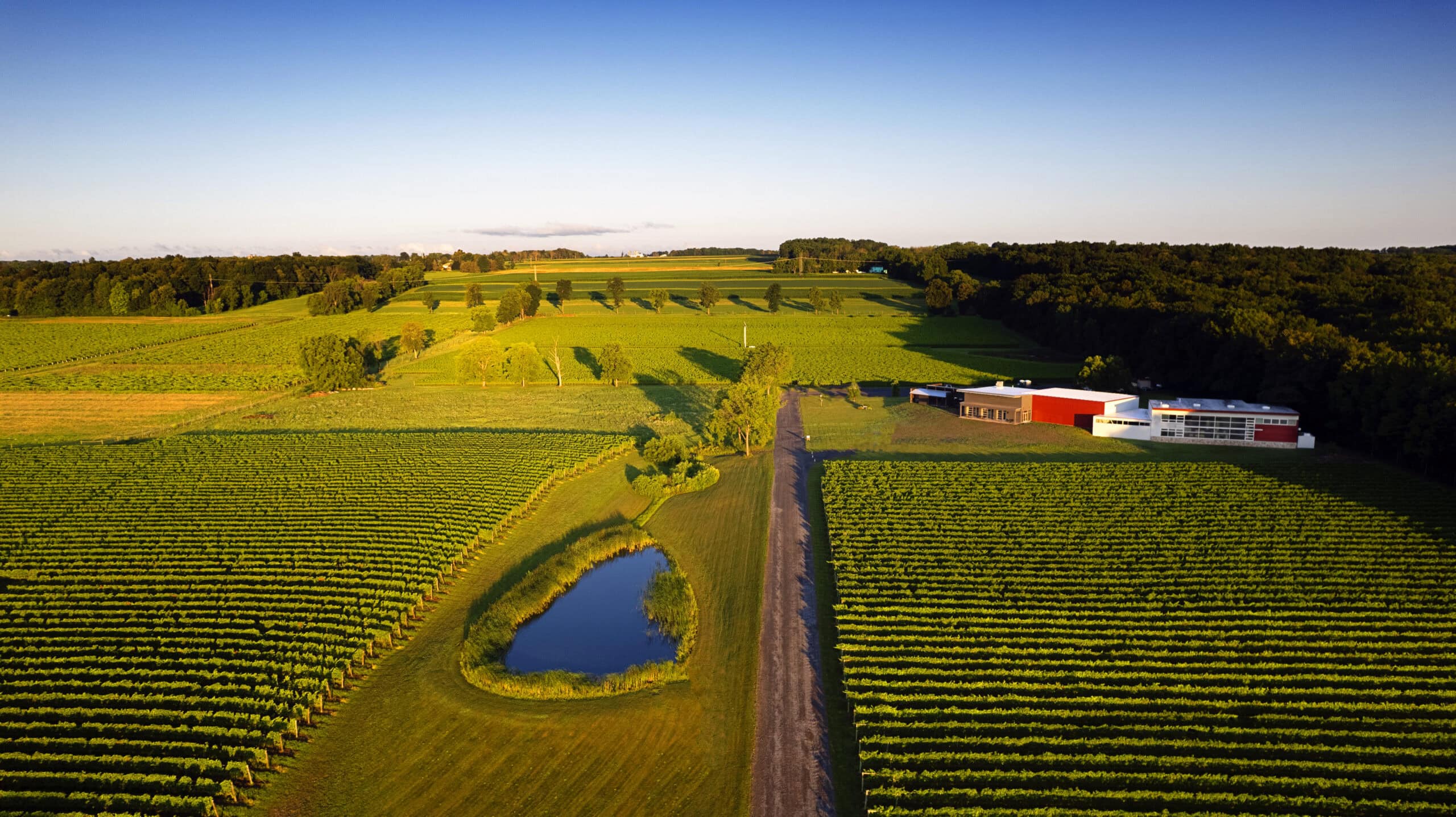 Red Tail Ridge Winery