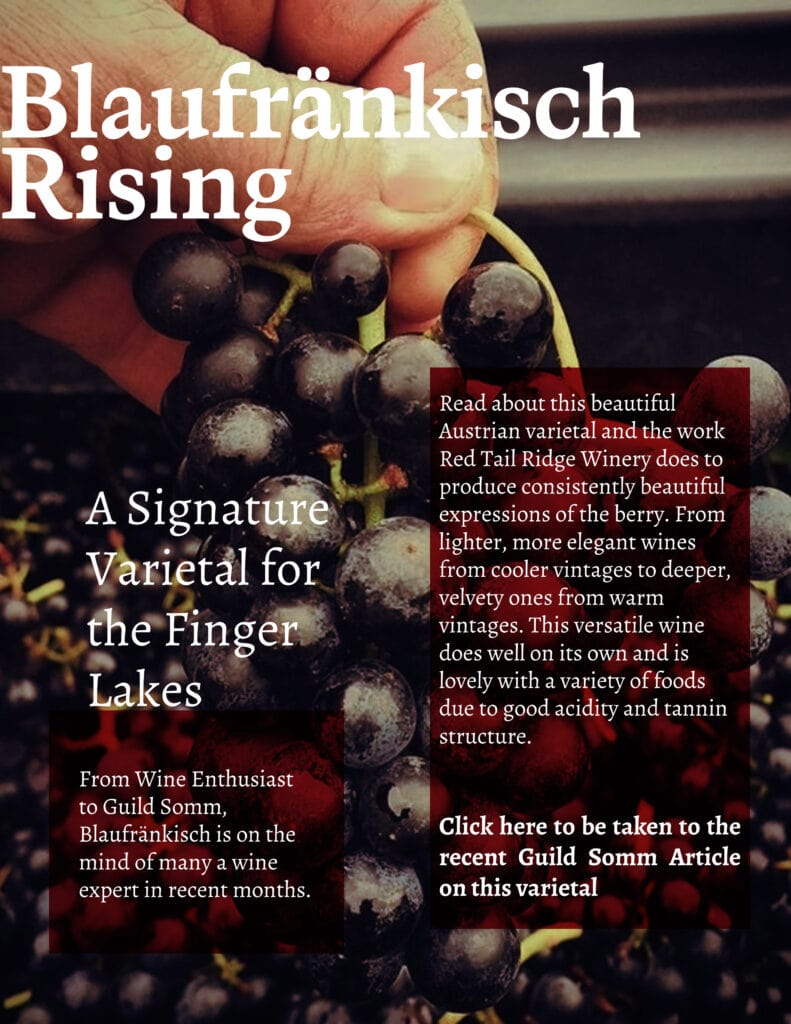 Red Tail Ridge Winery Blaufränkisch wine in Finger Lakes vineyard rows