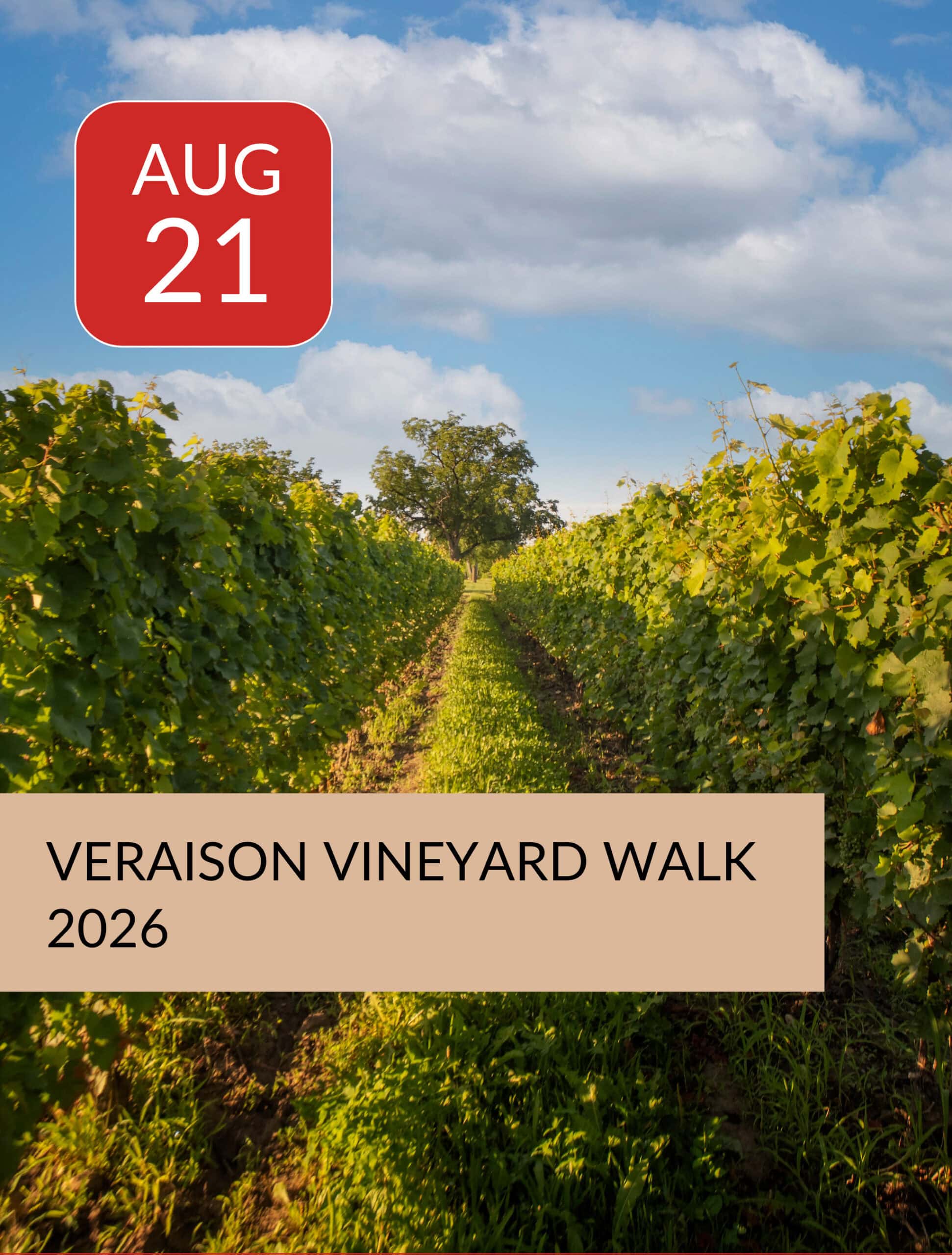 Veraison Vineyard Walk 2026