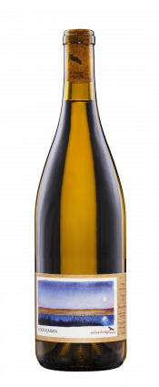 Elegant wine bottle from Red Tail Ridge Winery, featuring a scenic label design.